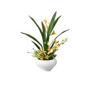 DFGHNBVC Artificial Flowers For Decoration Artificial Orchid Flower Artificial Silk Phalaenopsis Orchid Flower Plant Pot Arrangements For Home Living Room Decoration Artificial Fl.Wit-A