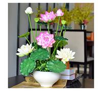 DFGHNBVC Fake Flowers Artificial Flowers Artificial Flowers In Ceramic Vase, Artificial Lotus Flowers Fake Flowers For Wedding Home Party Arrangements Decoration Party Decoration.B-Q