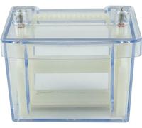 DFGHNBVC Mini Vertical Electrophoresis Tank High School Biology Teaching Demonstration Experiment Instrument The Process Of Migration Of Electric Particles In Horizontal And Vertical Electrophoresis