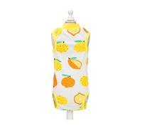DFHINSC Fruit Fabric Recovery Suit for Puppy, Big lemon S | Abdominal Wounds Easy to Wear, Bandages Alternative for Puppy, Anti-Biting Lick Wound Protective Shirt