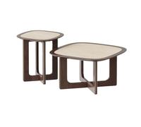 DFHS46JK Coffee Table 2-Piece Coffee Table Set Modern Irregular-Shaped Living Room Tables Coordinated Pair Sofa Table/Tea Table for Living Room