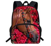 dfjdhegj 16inch Dragon Backpack Kids Book bag Children Schoolbag for Student (D990c)