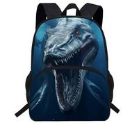 dfjdhegj 16inch Dragon Backpack Kids Book bag Children Schoolbag for Student (D990c)