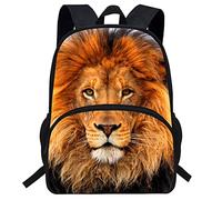 dfjdhegj 16inch Dragon Backpack Kids Book bag Children Schoolbag for Student (D990c)