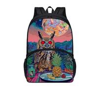 dfjdhegj 17 Inch Print Backpacks for Girls Boys Elementary Student Cute Raccoon Backpack for Kids Large School Bag Front Pocket Padded Straps Lightweight Black Casual Bookbag