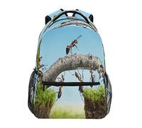 dfjdhegj Colorful Solar System Printing Computer Backpack - Lightweight School Bag for Boys Girls Tenns