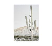DFJyjFGJJ Cactus Photography, Boho Desert Landscape, South Western Nature, Neutral Arizona Living Bedroom Canvas Wall Art Posters And Prints Room Aesthetic Bedroom Office Decor 12x18inch(30x45cm)