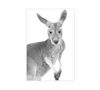 DFJyjFGJJ Kangaroo, Black And White Animal Nursery, Australian Black And White Living Canvas Poster Bedroom Sports Landscape Office Room Decor Gift 12x18inch(30x45cm)