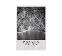 DFJyjFGJJ Mekong Delta Black And White, Mekong Delta Travel, Vietnam, Asia Canvas Art Wall Decor Posters Home Bar Restaurant Garage Cafe Logo Gift 24x36inch(60x90cm)