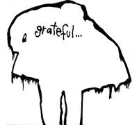 Dfl - Grateful [VINYL]