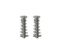 DGBRSM 2PCS 6-32X3/4 inch Silver Stainless Steel Single Coil Pickup Mounting Screws and Springs Set for Electric Guitar