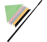 DGBRSM Flute Cleaning Kit - Flute Cleaner with 5 Colored Cloths & Plastic Stick - Silver - C Instrument Key - Classic Style