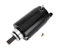 DGHBNP Starter Motor Fit For Triumph Tiger 800 XC XCA XCA XR XRT 800 XRX 2016-2019 T1313333 9 Teeth Starter Motor Electric Start Engines