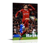 DGJSFC Luis Díaz Oil Painting Poster Wall Art Poster Canvas Painting Decoration Modern Art Decoration Home Bedroom AestheticFrame-style20x30inch(50x75cm)