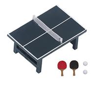 DGLDCSHUAI Dollhouse Table Tennis Set Resin Realistic Miniature Table Tennis Model Decoration for 1:12 Dollhouse