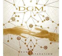DGM - Tragic Separation [VINYL]