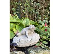 DGS STATUES - Stone Cast Frog Resting on Rock Small Hand Finished Pond Ornament Statue
