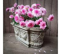 DGS STATUES - Stone Cast, Plant Pots and Troughs, Veronese Style Planter, Medium, Hand Finished, Statue, Sculpture