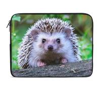 Dgsxynth 10inch Laptop Case, Cute Little Hedgehog Laptop Sleeve