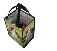 Dgsxynth Cavalier King Charles Spaniel Lunch Bag with Outside Pockets, Tote Lunch Bag for Work, Picnic, Travel