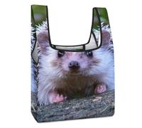 Dgsxynth Foldable Shopping Bag, Cute Little Hedgehog Reusable Grocery Bag, Washable Tote Bag for Daily Use Travel Bags