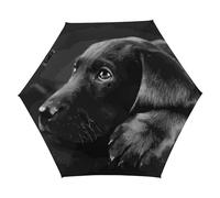 Dgsxynth Folding Umbrella, Black Labrador Puppy Art Umbrella,5 Fold Travel Umbrella for Windproof, Rainproof