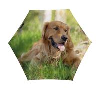 Dgsxynth Folding Umbrella, Dog Golden Retriever Umbrella,5 Fold Travel Umbrella for Windproof, Rainproof