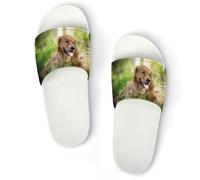 Dgsxynth Non-Slip Slippers, Dog Golden Retriever Sliders for Men And Women, Shower Slides
