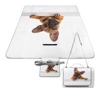 Dgsxynth Picnic Mat,French Bulldog Paw And Dog Square Picnic Blanket,Outdoor Rugs,148cm X 148cm