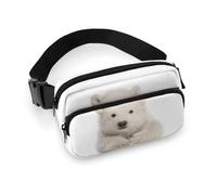 Dgsxynth Waist Bag, Polar Bear Bumbag, Adjustable Fanny Pack for Running Walking Hiking