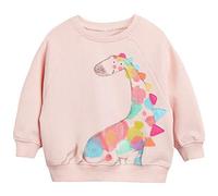 DHASIUE Baby Girls Dinosaur Sweatshirt Jumper T-Shirt Cute Long Sleeved Tops Casual Cotton Tee Shirts Kids Toddler Clothes Age 1-8 Years
