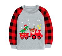 DHASIUE Christmas Boys Plaid Long Sleeves Tops Xmas Reindeer Colourful Light Bulbs Shirt Wishing Star Dino Train Boy Round Neck T-Shirt 1-2 Years