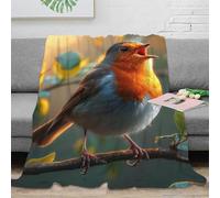 DHBANEIOK Robin Theme Blanket 3D Design Bed Blanket Bedding Decorative Super Soft Warm Bed Blanket For Living Room for Bed Couch Blanket Adult Kids 50x60inch(127x152cm)