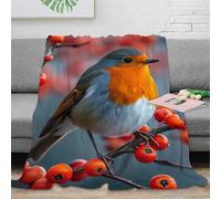 DHBANEIOK Robin Theme Blanket Stylishbed Blanket 3D Printed Bedding Decorative Soft Warm Microfiber for Bed Couch Blanket 40x50inch(100x130cm)