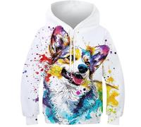 DHBANEIOK Teen Girl Boy Corgi Kids Hoodie 3D Printed Pullover Jumper Hooded Sweatshirt with Pockets 10-12Y