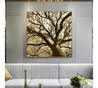 DHHXY Black White Modern Nature Landscape Giant Tree Giclee Canvas Prints Large Posters and Prints Wall Art Canvas Painting Old tree Picture 80x80cmNo Frame