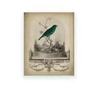 DHHXY Extra Large Vintage Bird Print Animal Illustration Poster Naturalist Wall Art Canvas Painting Our Pet Vivarium Pictures(40x60cm/Gallery Wrap)