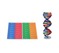 DHinkyoung DNA Model Double Helix Model Component Human Genes DNA Molecular Model Kit Creative Double Spiral Assemble Model for Science Educational Teaching Instrument for Teacher or Student 14+ Years
