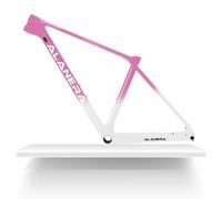 DHNCBGFZ 29er Mountain Bikes Frame XS/S/M/L Carbon Disc Brake MTB Frame 12 * 148mm Boost Thru Axle Frame Internal Routing(Pink white,S)