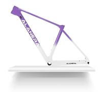 DHNCBGFZ 29er Mountain Bikes Frame XS/S/M/L Carbon Disc Brake MTB Frame 12 * 148mm Boost Thru Axle Frame Internal Routing(Purple white,M)