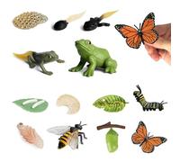 Dhqkqg Insect Life Cycle Toys, 13 Pcs Insect Toys Life Cycle of Butterfly, Honey Bee & Frog Action Model, Plastic Bug Figurines Toy, Early Educational Insect Toys for Kids Insect Growth Cycle Learning