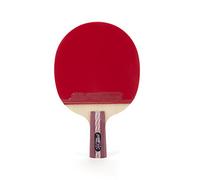 DHS Ping Pong Paddle A4006, Table Tennis Racket - Penhold