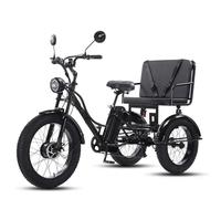 DHsdlpLU 24 Inch Electric Tricycle Power-Assisted Pedal Fat Tire for Adults 200 kg Load Capacitay with Cargo Basket Headlight City & Mountain Road Comfortable Rides, Gift for Parents Black-WithSeat