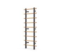 DHT Swedish Ladder, Wall Bars, Stall Bar Suspension Trainer with 9 Strategic Rods, for Fitness Home, Gym, School, Clinics and Gymnastics