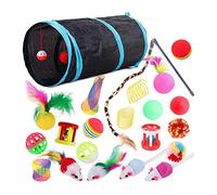 DHYAWUER 22 Pcs Cat Toys Interactive Tunnel Mouse Kitten Teaser Wand Spring Toy Set for Indoor Cats
