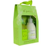 Di Palomo Vegan White Grape & Aloe Hand Care Essential Collection: 240ml Soap & Lotion. Luxury Wash & Cream. Pamper Gifts for Women.