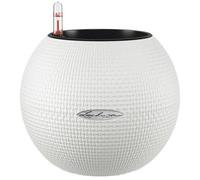 (Dia) 12Cm Small Plant Pot, White Plastic Self-Watering Planter With Water Level Indicator Lechuza Puro Color W20 H16 Cm