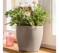 (Dia) 21Cm Sand Brown Plastic Lechuza Classico Color Self-Watering Planter With Drain Plug, Indoor And Outdoor