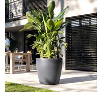 (Dia) 57Cm Slate Grey Plastic Self-Watering Large Plant Pot For Trees Lechuza Classico Color W60 H55.5 Cm