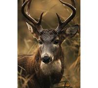 DIADAY 5D Diamond Art Painting Kit, Deer Diamond Art Kits for Adults, Round Full Drill Wildlife Animal Painting DIY Dot Gem Crafts Home Wall Decor Gift 30x30cm (12x12 Inch)